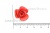 Украшение "Розы малые №1" 20мм - купить в Нижнем Новгороде. Цена: 32.49 руб.