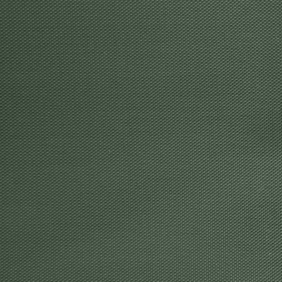 Оксфорд (Oxford) 240D 19-5917, PU/WR, 115 гр/м2, шир.150см, цвет т.зелёный - купить в Нижнем Новгороде. Цена 152.54 руб.