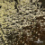 Трикотажное полотно, Сетка с пайетками, шир.130 см, #315, цв.-чёрный/золото - купить в Нижнем Новгороде. Цена 693.39 руб.