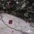 Сетка с вышивкой "Мадрид" 135 г/м2, 100% нейлон, ширина 130 см, Цвет 4/Черный - купить в Нижнем Новгороде. Цена 980 руб.