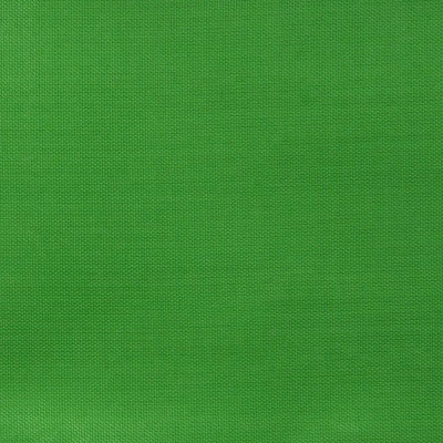 Ткань подкладочная Таффета 17-6153, 48 гр/м2, шир.150см, цвет трава - купить в Нижнем Новгороде. Цена 54.64 руб.