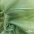 Ткань органза, 100% полиэстр, 28г/м2, шир. 150 см, цв. #27 зеленый - купить в Нижнем Новгороде. Цена 86.24 руб.