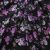 Плательная ткань "Фламенко" 20.1, 80 гр/м2, шир.150 см, принт растительный - купить в Нижнем Новгороде. Цена 241.49 руб.