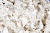 Тесьма плетеная "Рюш" с жемугом №2 (уп.13 м), цв.-молочный  - купить в Нижнем Новгороде. Цена: 46.82 руб.