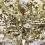 Трикотажное полотно, Сетка с пайетками, шир.130 см, #315, цв.-белый/золото - купить в Нижнем Новгороде. Цена 693.39 руб.